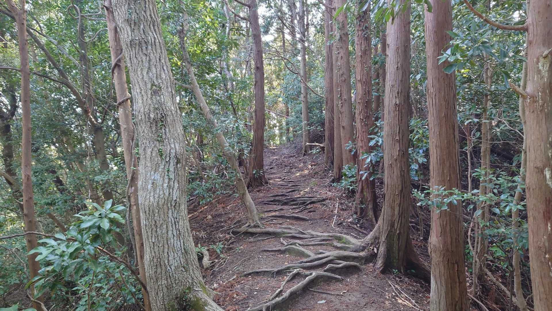 風🍃が気持ち🩷いい