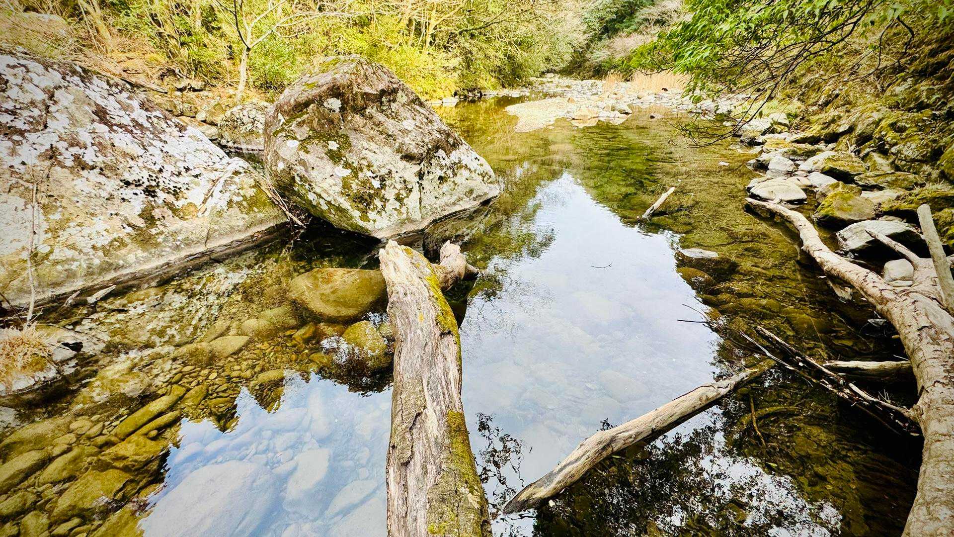 登山口🅿️駐車場下の 加江田川支流