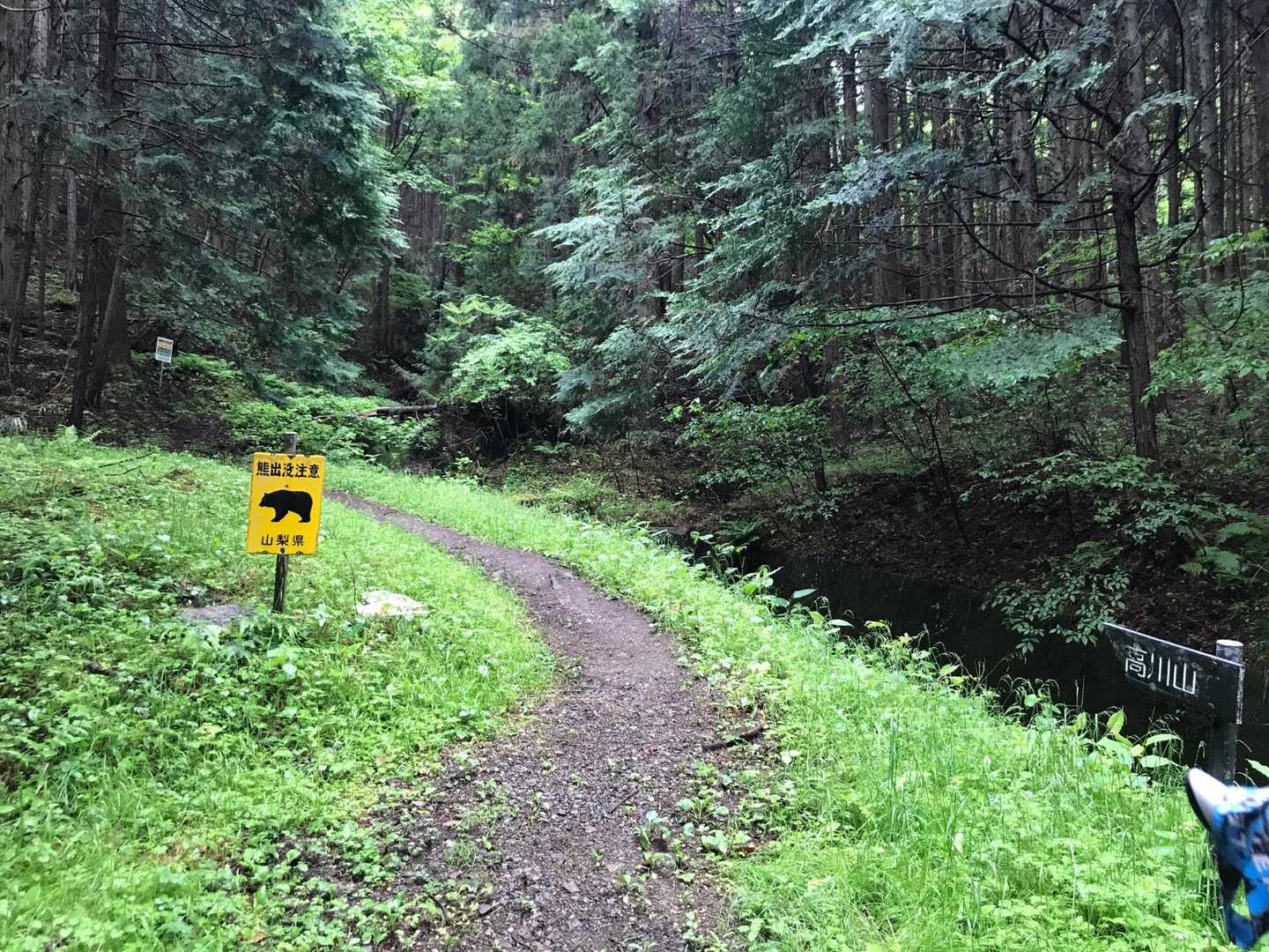 山道に入ってきた。熊に注意！