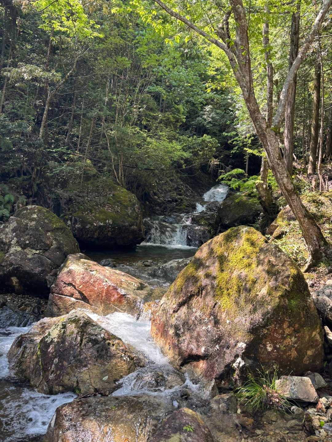 せせらぎを聞きながら、、歩くの気持ち良い😊