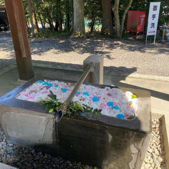 花手水の日で秋を感じさせる涼しげな花手水だそうです。