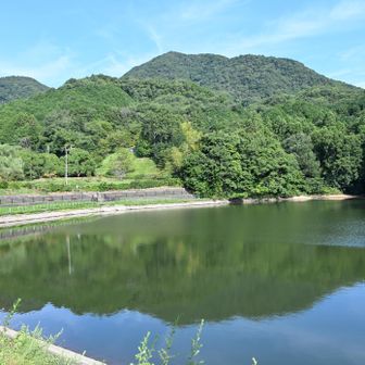 大池と二上山