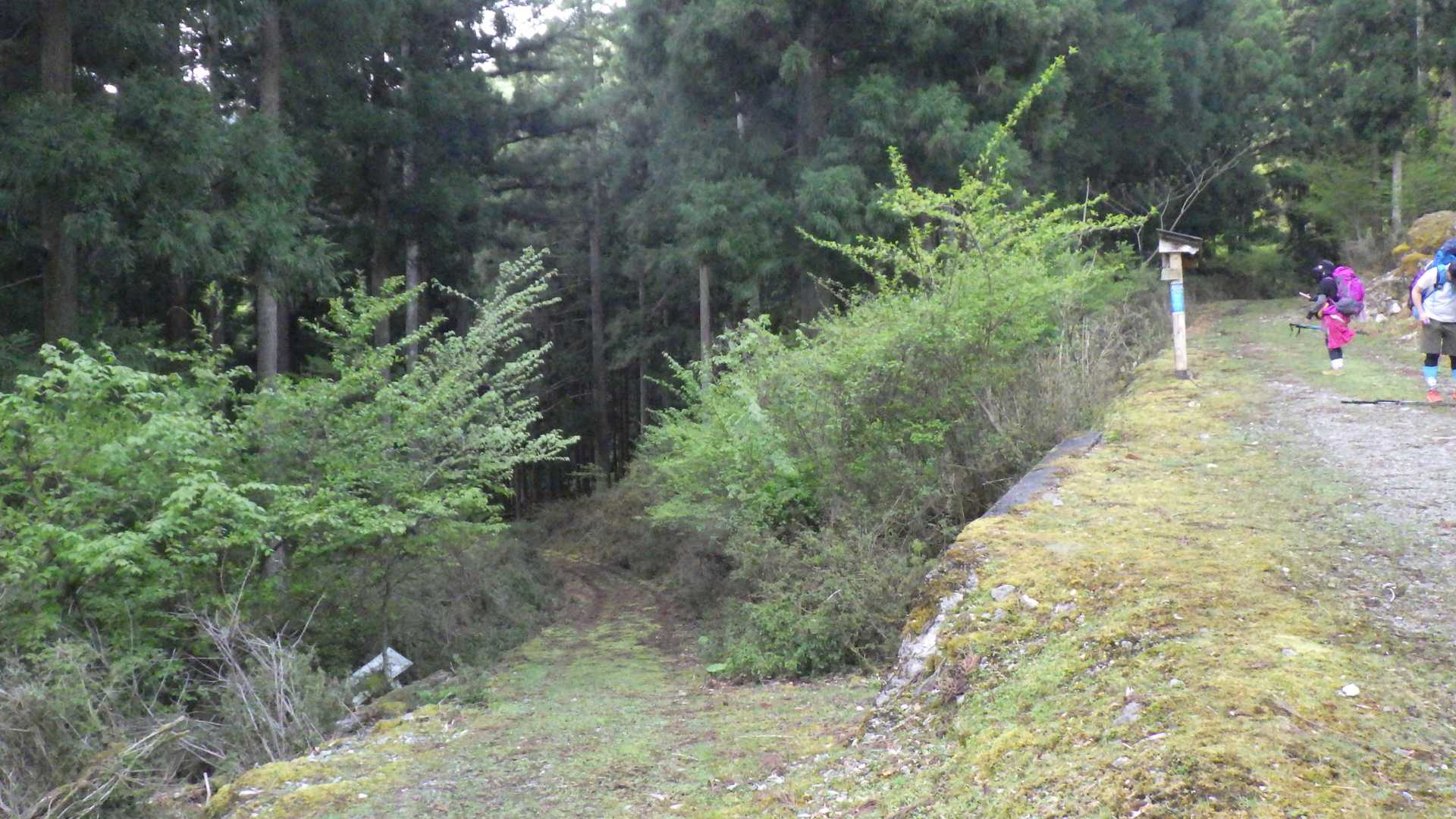 熊渡登山口-弥山 往復コースの写真