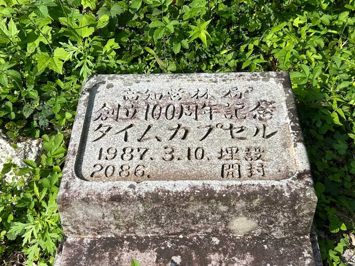 むぎちゃんが発見❗️
タイムカプセル✨
2086開封とな…
そもそも、埋めた人たちが見れない100年後
潔し👌