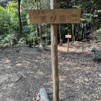 天が峰の山頂に到着。
