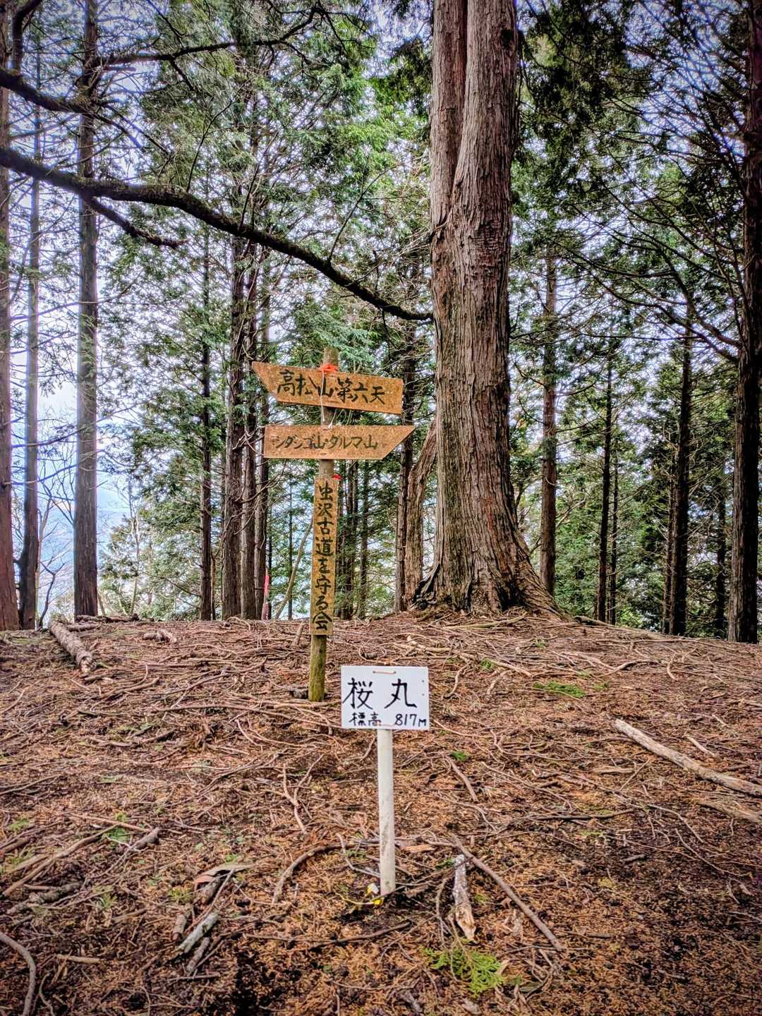 高松山入口バス停-高松山-フトウ山-桜丸-ダルマ沢ノ頭-シ 縦走コースの写真
