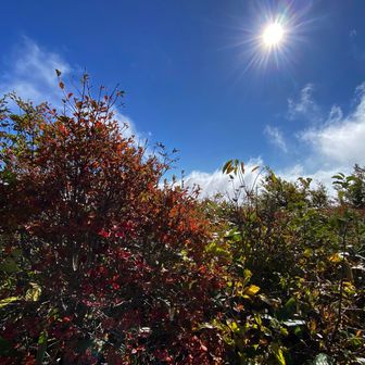 霊仙寺山はガス☁️も無く良いお天気🌤️