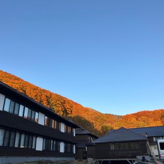 酸ヶ湯の後ろがきれいだった🤩