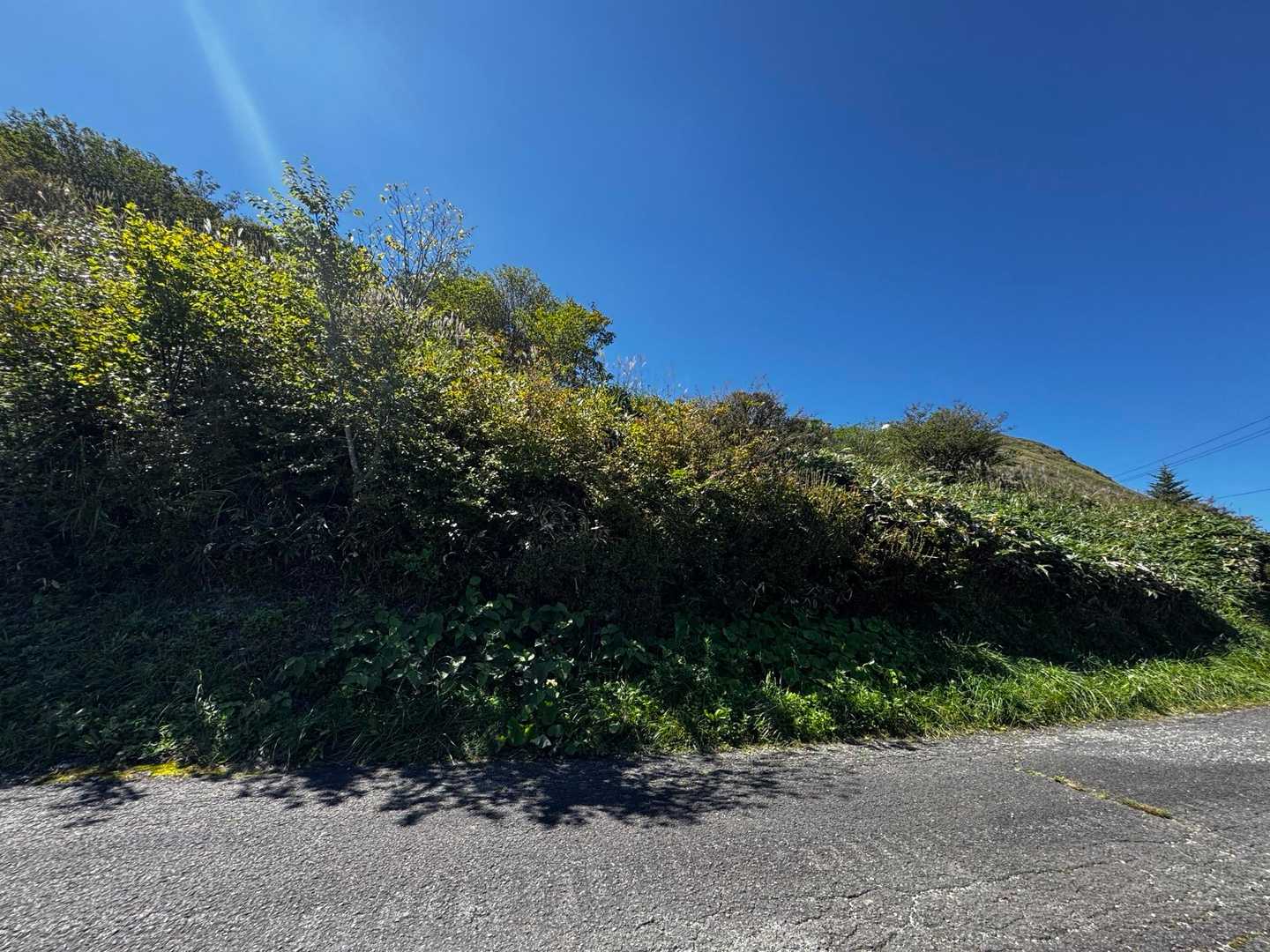 またまたまたまたまたまたまたまた
道路にでる