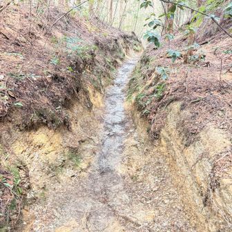 ここのぬかるみは堪えたな〜💦