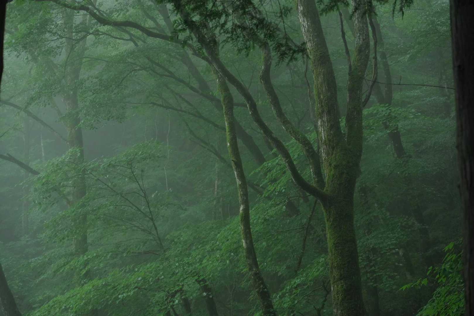 龍王の滝入口-梶ヶ森 往復コースの写真