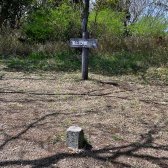 東山山頂 標高258m