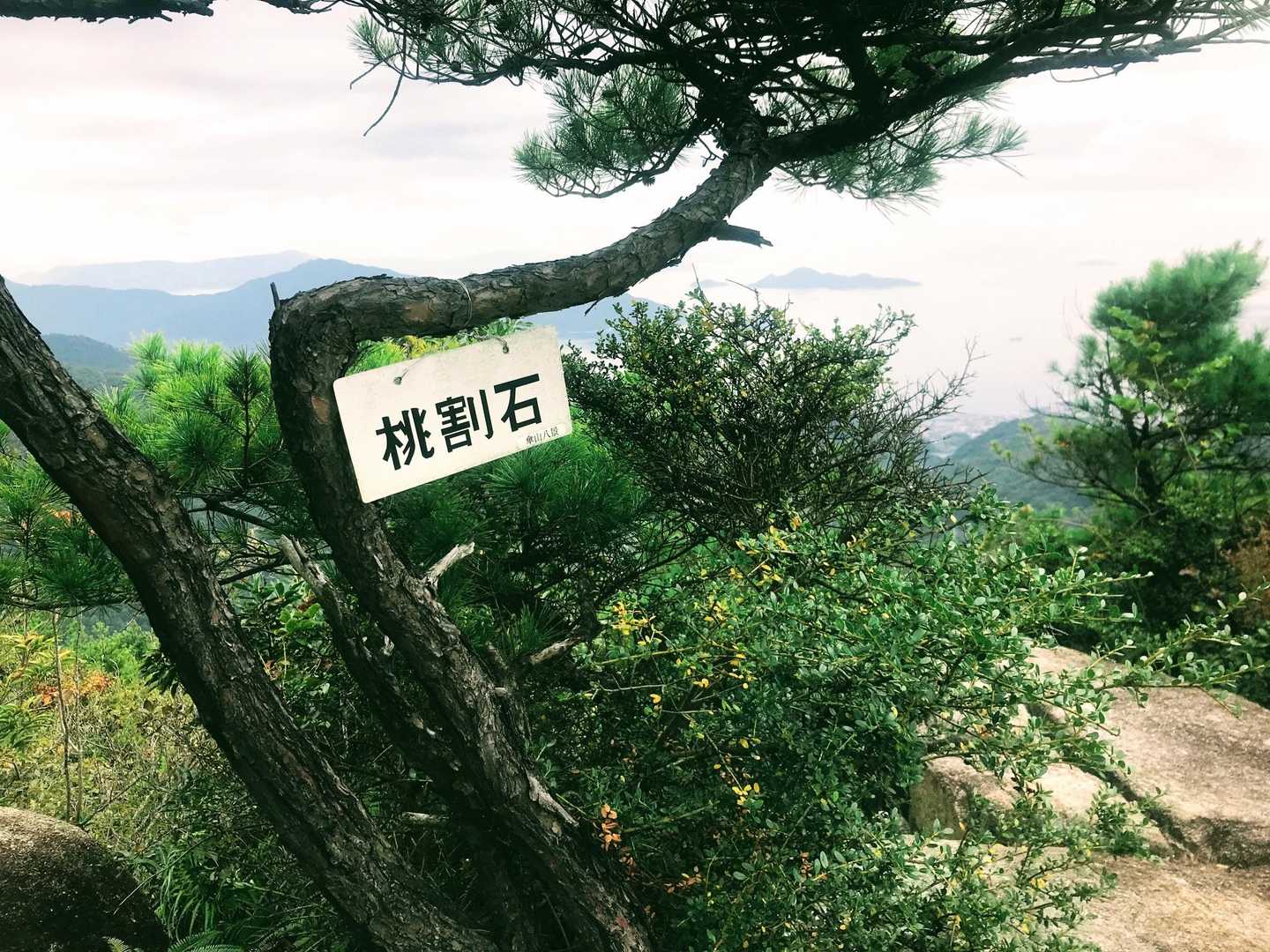 桃割岩🪨