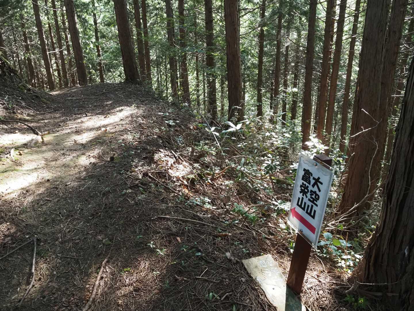 最初の小ピークまで階段の連続で、ええぇ～ってなりますが、一旦下って沢を渡ると更なる急登が待ち構えています。😱💦