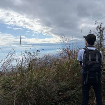 ススキがいい感じ💡
今日の仲間の猫山さん🐈‍⬛