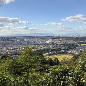 途中の展望地👀
いいやん
正面は六甲だわ