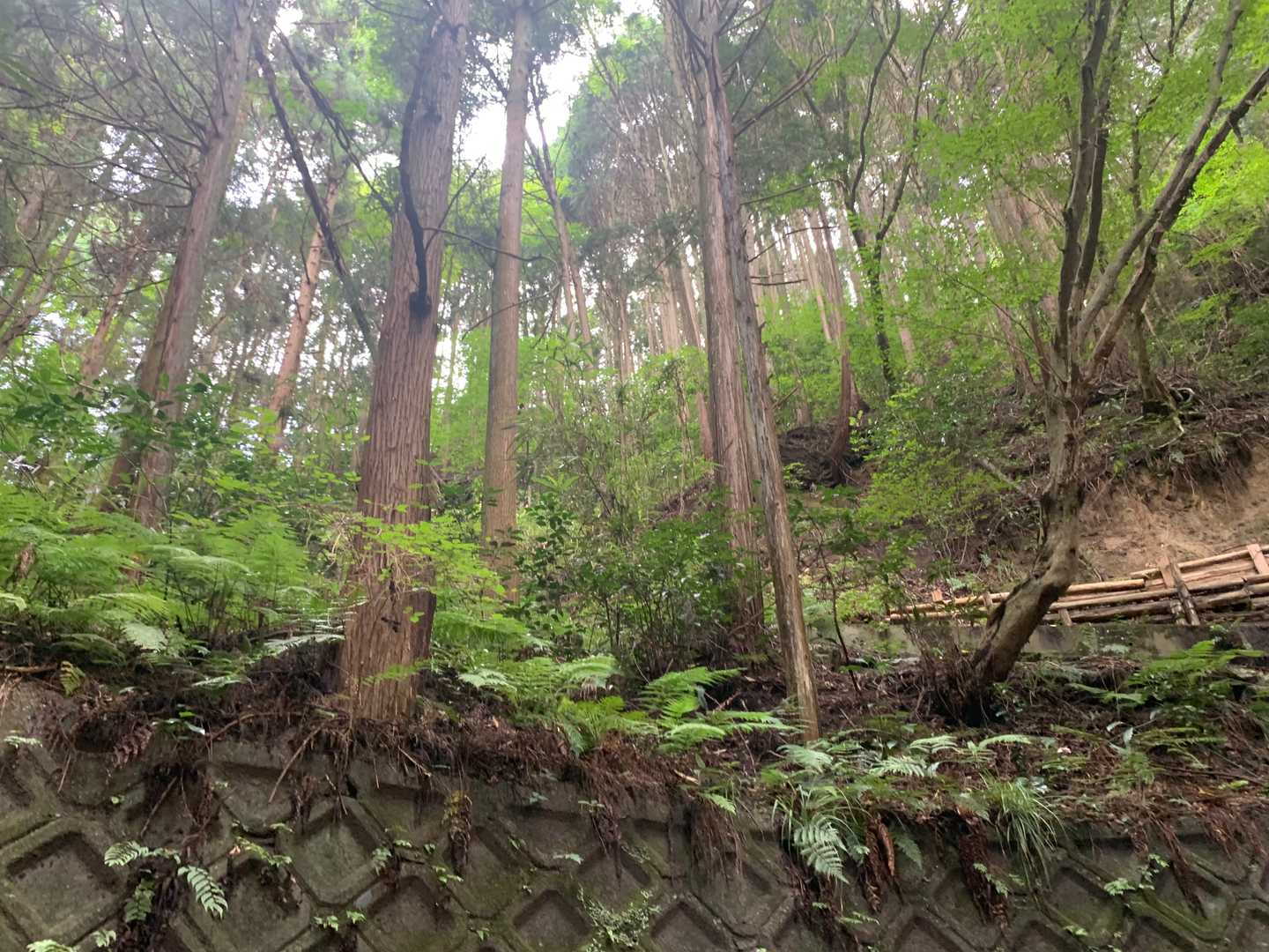 蒸し暑い　さー階段のはじまりです