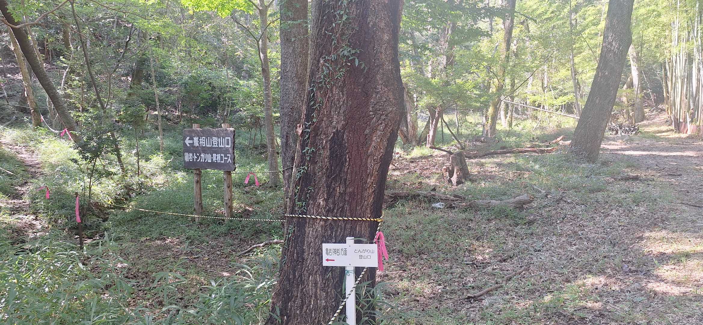 尾根コースで登ります🥾
