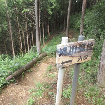 境川源流に向け下る