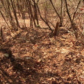 落ち葉🍂が降り積った激激降りの始まりでした😵‍💫