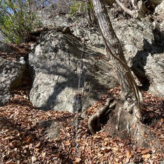 落ち葉を落としながら慎重に
鎖は頑丈で新しく太いので安心
おそらく岩はチャートなので硬いですが、チャート特有のガバ不足で、スタンスもイマイチ