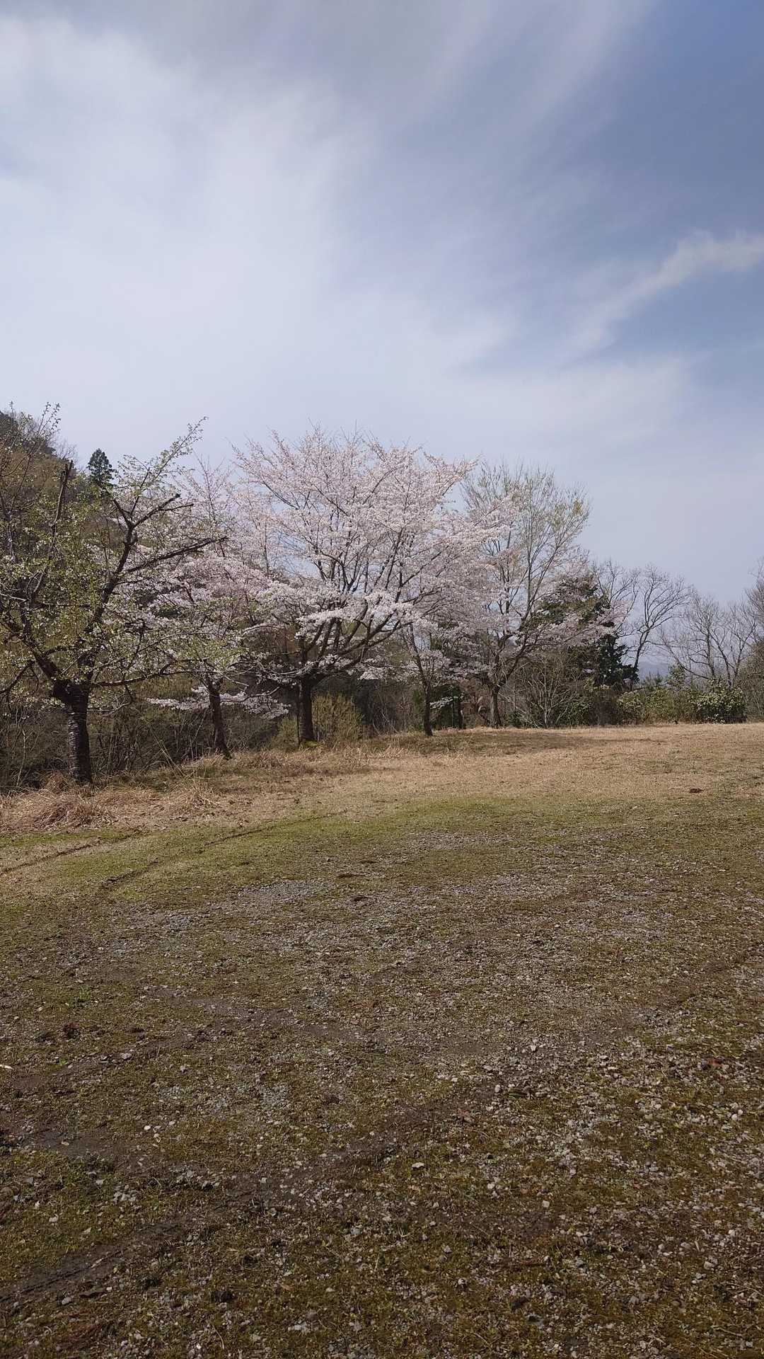 東屋-室尾山-男山 往復コースの写真