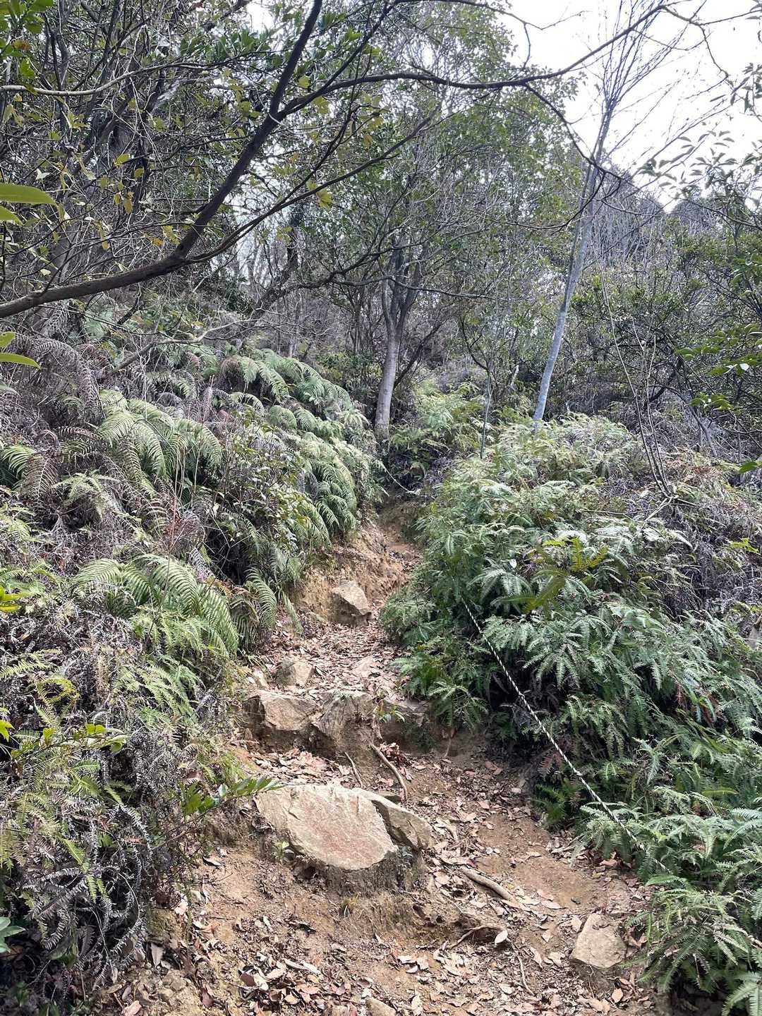 尾長山-牛田山-神田山-見立山 縦走コースの写真