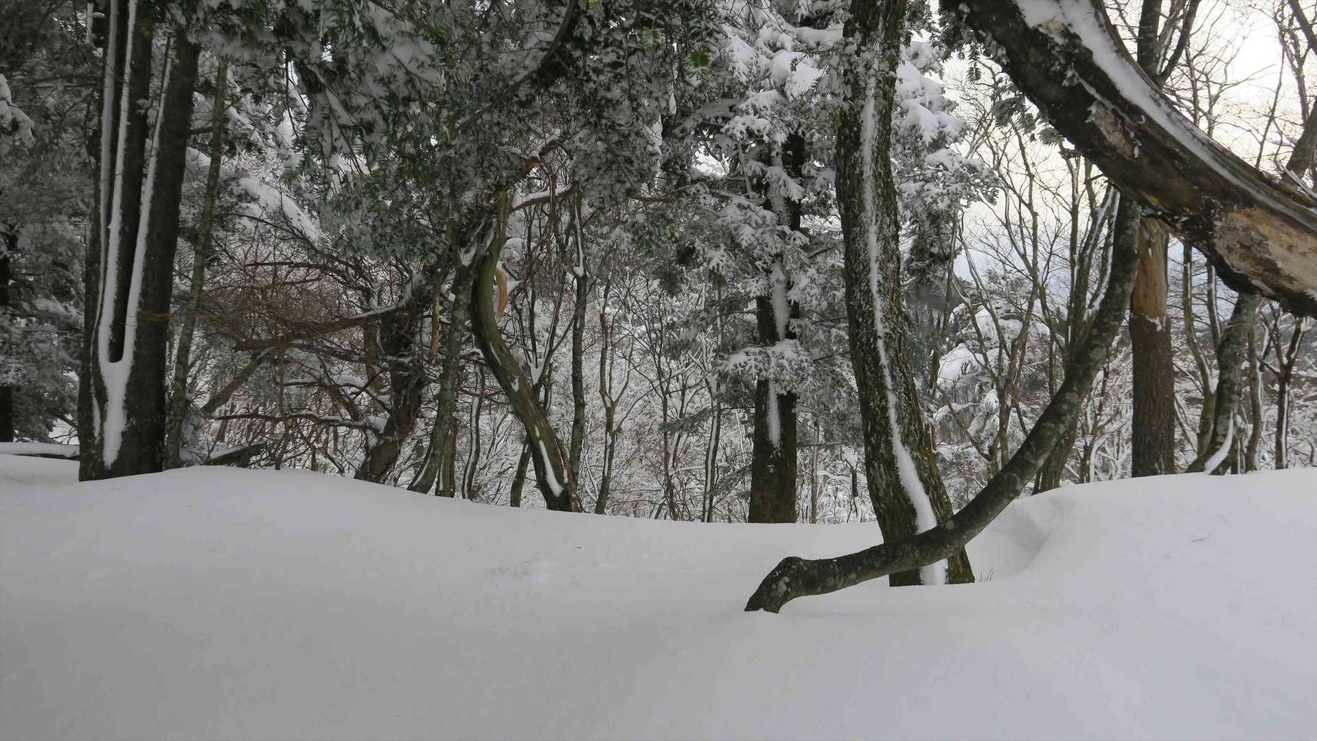 雪がタップリ🎶