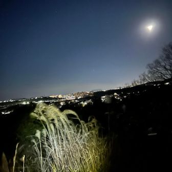 何気に良い低山。