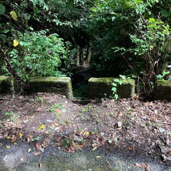 権現山でお昼を食べて、車道を下り、見落としてさしまう、分岐です。YAMAP見てないと通り過ぎます。ここから入ります。