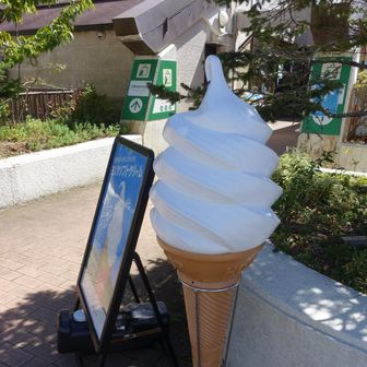 買って食べたが写真撮り忘れ、おいしかった
600円也