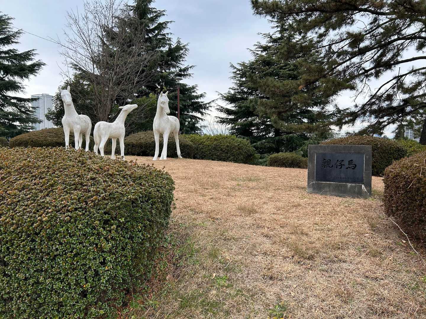 東急田園都市線　すずかけ台駅-高尾山入口-高尾山 往復コースの写真