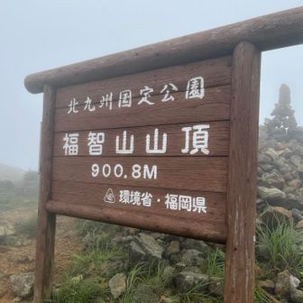 山頂に到着‼️景色全くなし💦