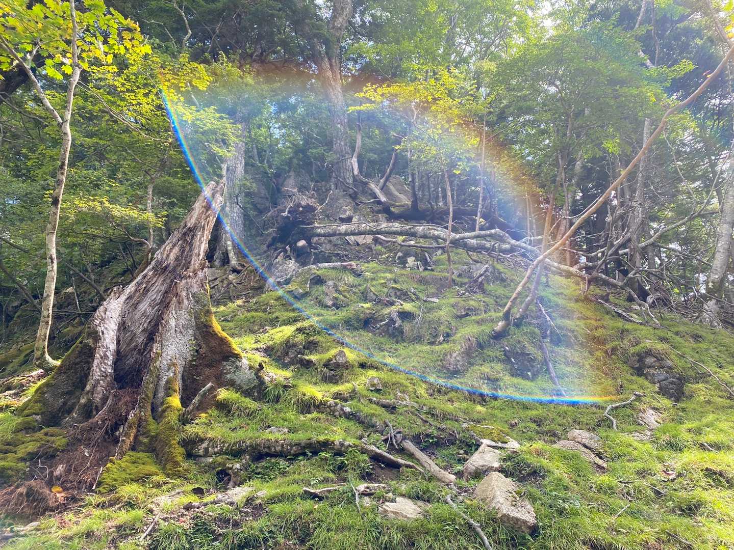 高山-地獄茶屋 周回コースの写真