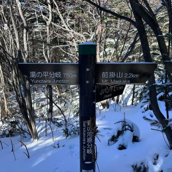 湯の平との分岐