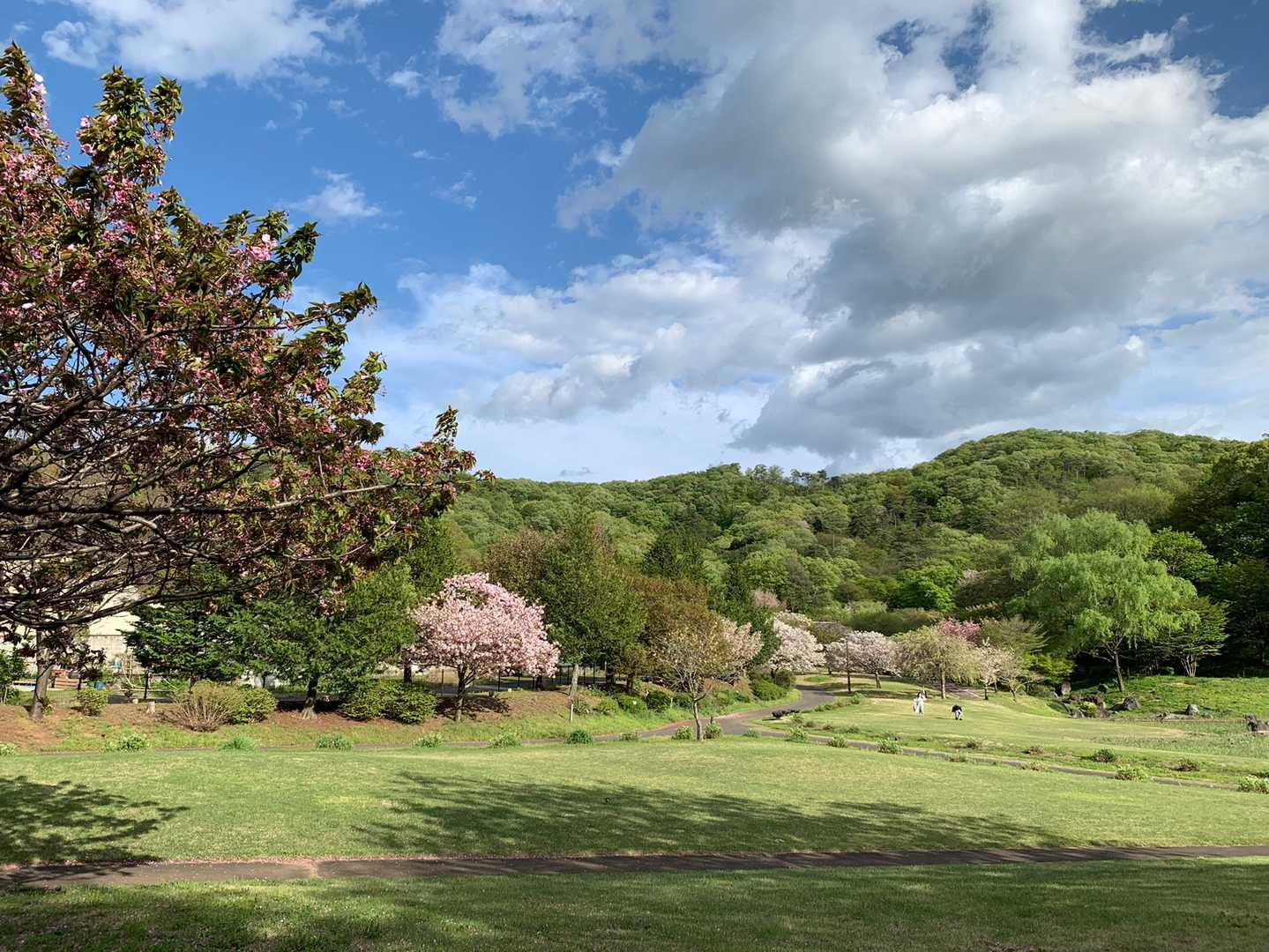 みかも山公園西口登山口-三毳山-中岳 周回コースの写真
