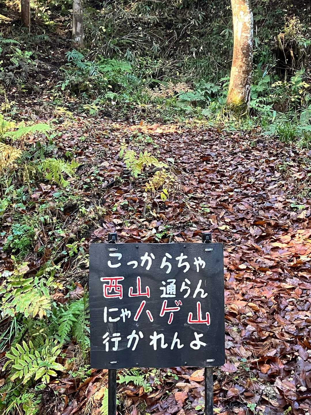 どこをどう間違えたか、ここに辿り着くまでに紆余曲折があった😅

この看板は比較的わかりやすいと思うけど、一応富山弁→新潟弁に変換しておきますか？
「こっかららと西山通らんばハゲ山行がんねすけね」