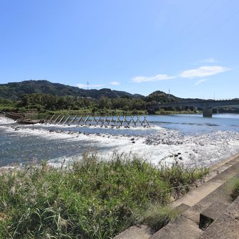 行縢山 オマケ
小生、ずっと、清流五ヶ瀬川に憧れていました

