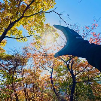 日差しも暖かく