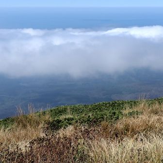 雲の上に🌊飛島がうっすら👀