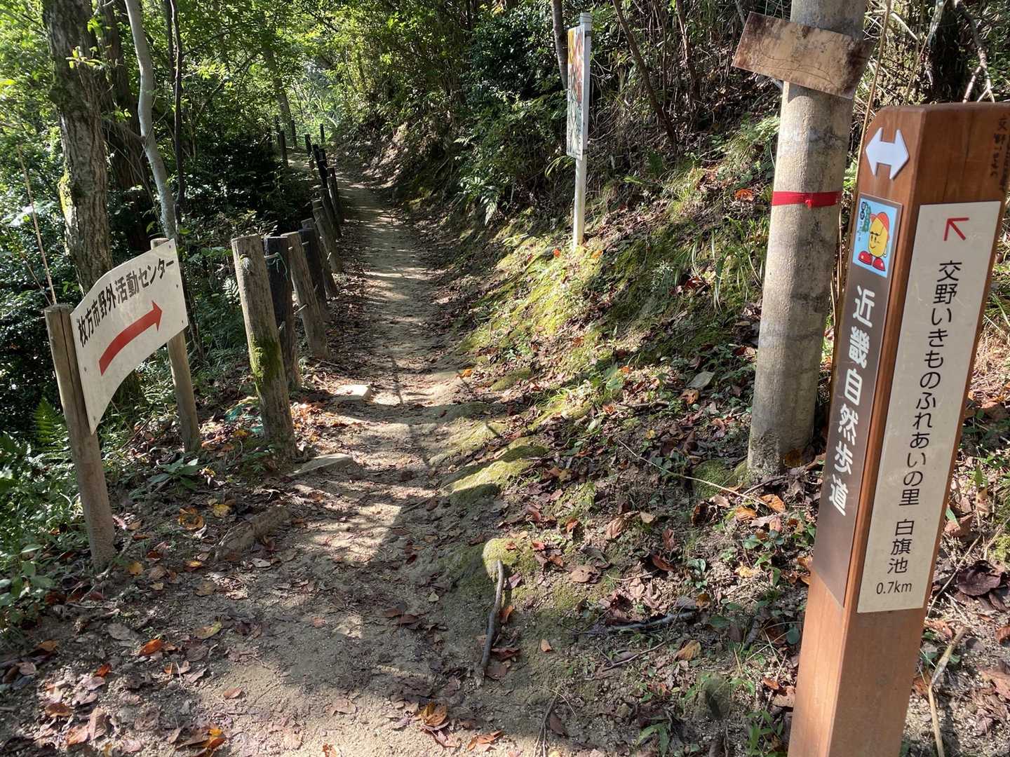 さっ交野山へ行きましょう♪