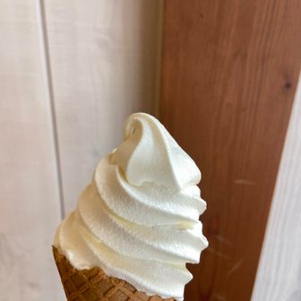 参道市場のソフトクリーム🍦
白バラ牛乳使ってます🥛
うまし😋