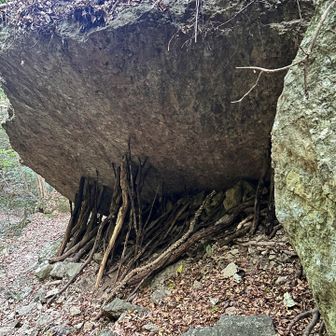 時間に追われて色々スルー
残念😢
またリベンジします‼︎
