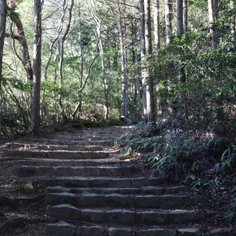 続々と、好山病患者さんたちが降りて来られます🤣　ここの病院はめちゃ人気みたいです❗️
いい治療が受けられること間違い梨🍐✨