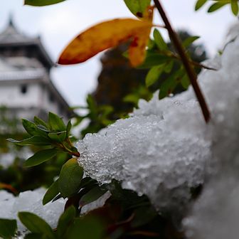 雪が残ってます❄️