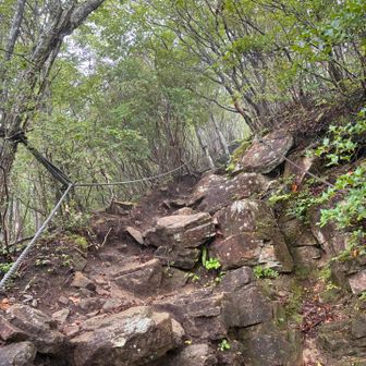 倶留尊山を目指しますが、山頂に近づくにつれ、急な登りに