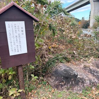 とりあえず座ってみた