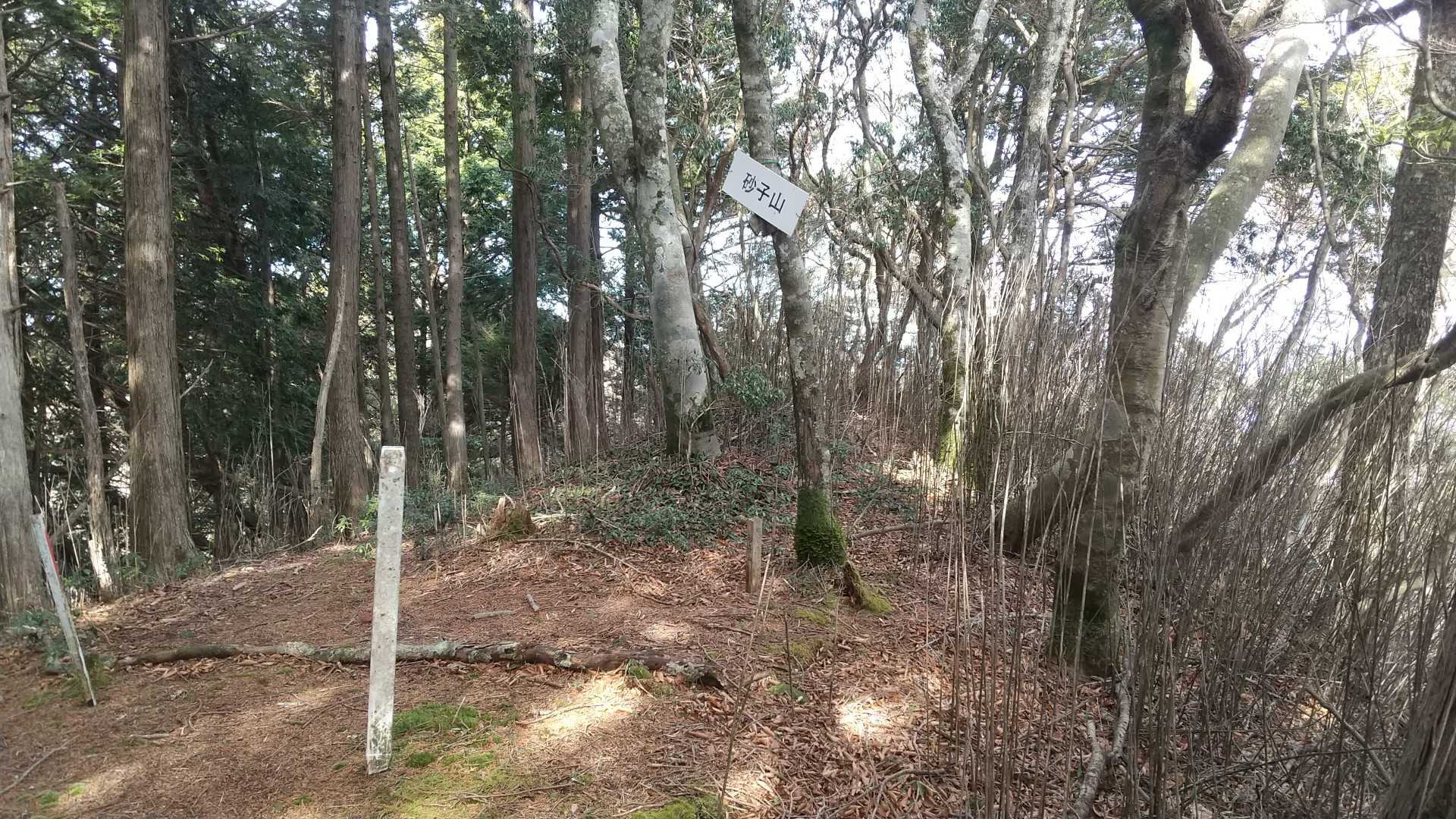 砂子山へ到着‼️
