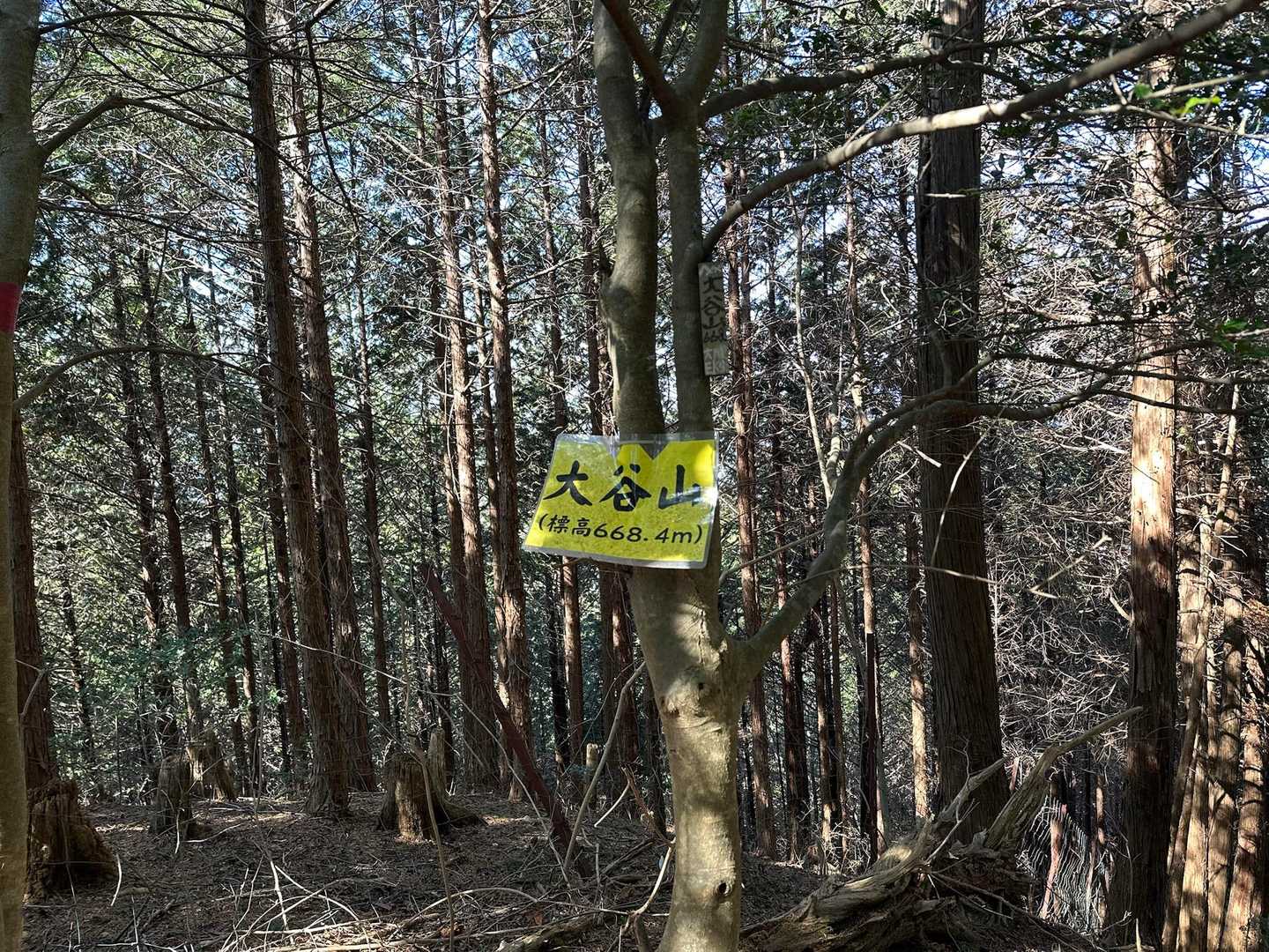 大谷山⛰️✨