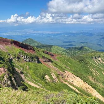 まずは荒々しいフランポワーズとピスタチオケーキを召し上がれ